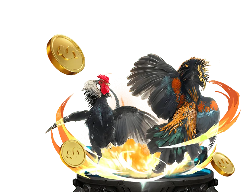 Hướng dẫn Đá Gà Trực Tuyến b52 game